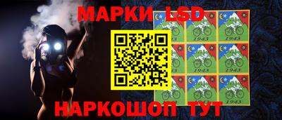 винт Камышлов