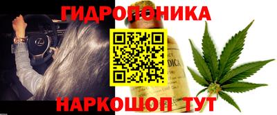 герыч Кандалакша