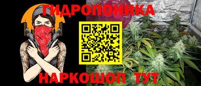 ECSTASY Канаш