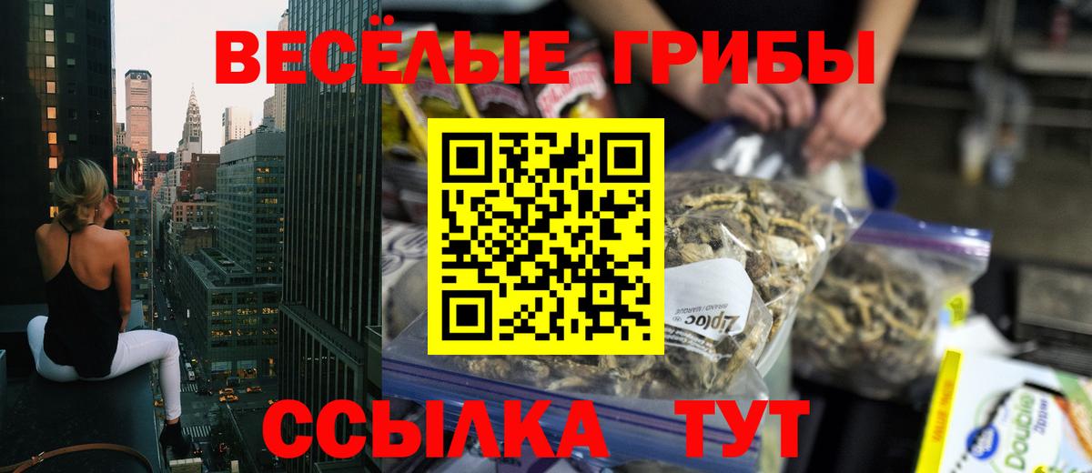Псилоцибиновые грибы MAGIC MUSHROOMS  Вход с VPN  Уфа 